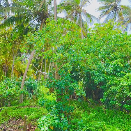 Surf Home Stay Hiriketiya Диквелла Экстерьер фото