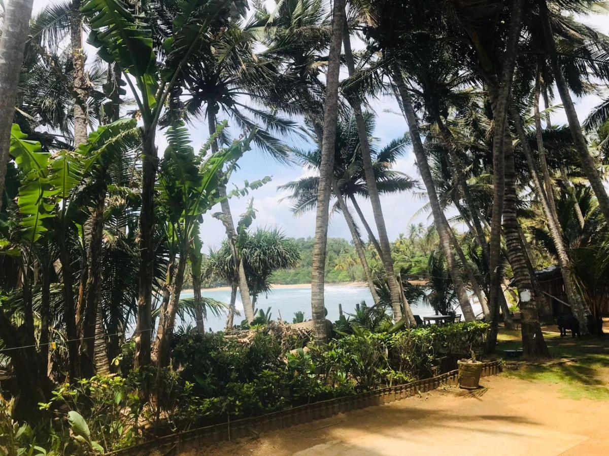 Surf Home Stay Hiriketiya Диквелла Экстерьер фото